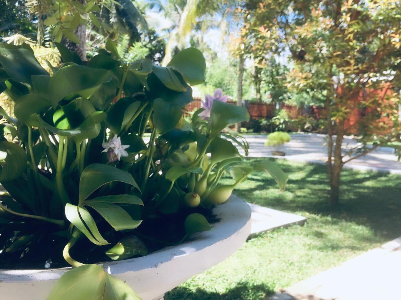 Casa Blanca Otel Ahangama Dış mekan fotoğraf